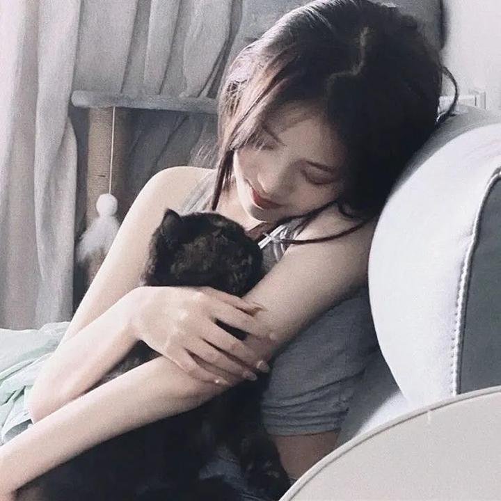 愤怒的律师